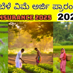 crop insurance