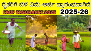 crop insurance